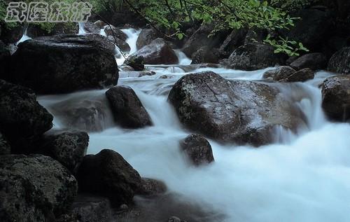 戶外生存技巧：如何尋找水源