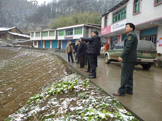 白馬鎮(zhèn)邀后勤工程學院專家編制旅游發(fā)展計劃