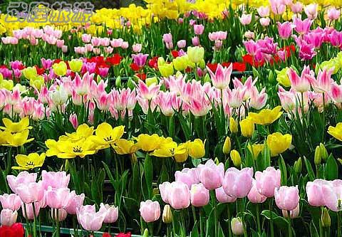 學生自助游省錢大招