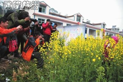 廟埡油菜花鄉村旅游節開幕