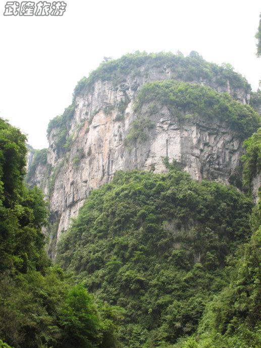 阿蔡&ldquo;說&rdquo;武隆