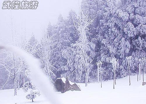 初春游仙女山，帶來滿心的驚喜