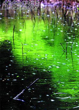 旅行拍片：細雨拍攝的四個訣竅