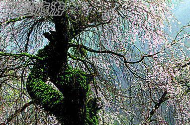 旅行拍片：細雨拍攝的四個訣竅