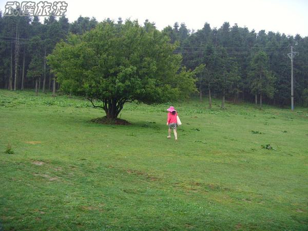 邊走邊看美麗的武隆