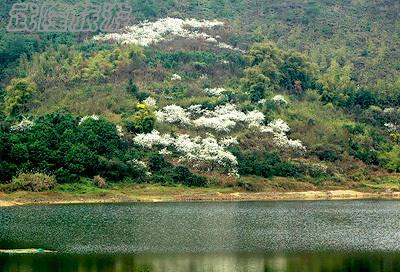 三月武漢自駕游武隆