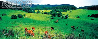 三月武漢自駕游武隆