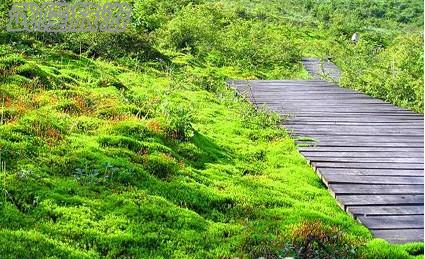 4月踏青春游武隆夢幻谷