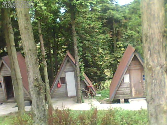 在武隆&mdash;&mdash;仙女山