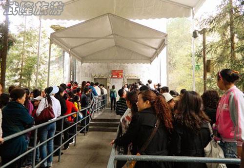 清明踏青旅游升溫 武隆各景區人氣爆滿
