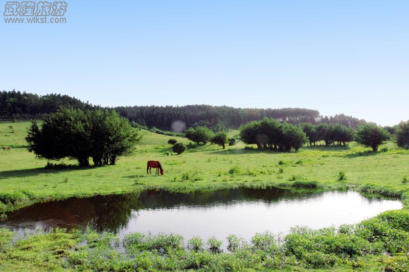 南國草原仙女山