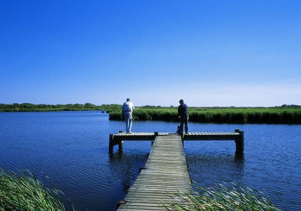 重慶哪些地方可以釣魚？黃金秋季的野釣攻略