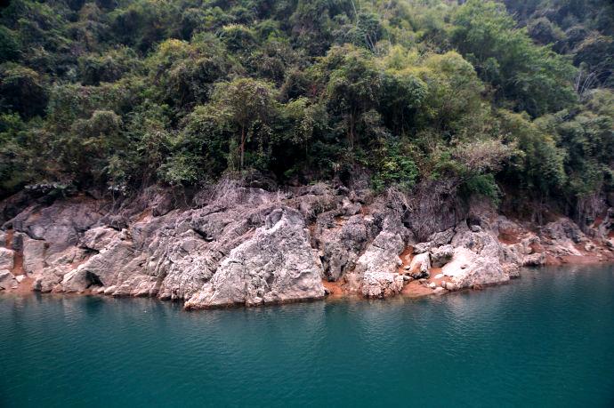 絲竹垂釣，綠影婆娑
