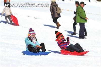 雪上的歡樂 王俊杰/攝