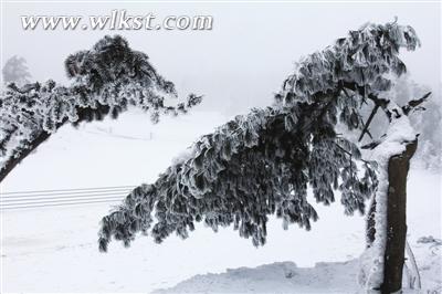 冬韻 王俊杰/攝