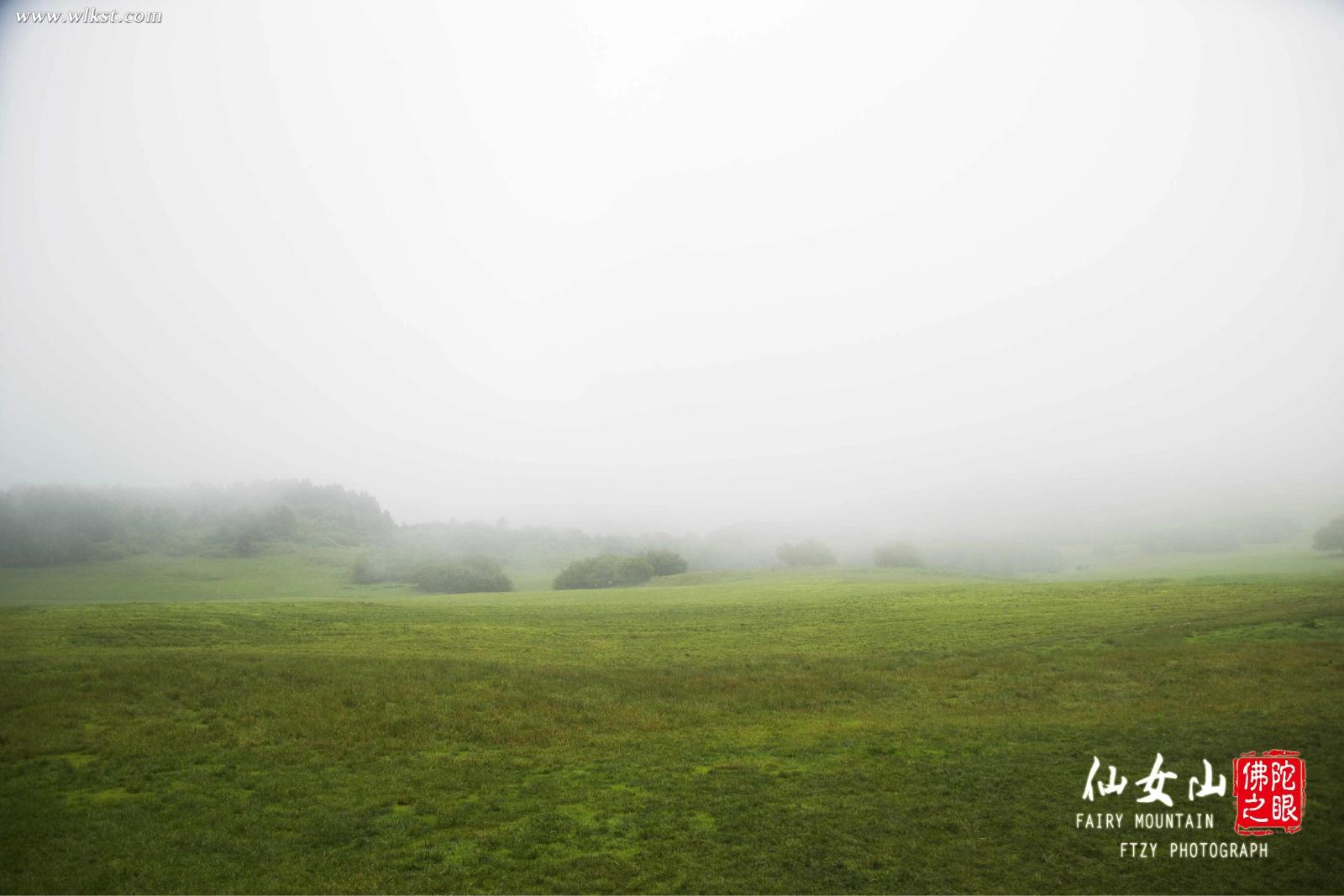 風吹走了大部分霧氣，瑞士風光的草原顯現了出來