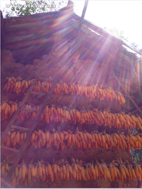 爸爸去哪兒拍攝地&mdash;&mdash;重慶武隆天坑村