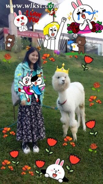 下地獄闖石寺尋寶藏&mdash;&mdash;武隆鳳來大石箐石林寺（上）