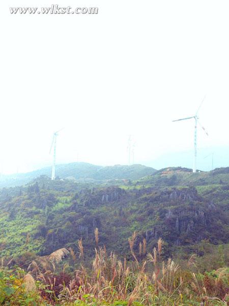 美女CEO探秘武隆第六節：品羊角古老文化與美食珍品