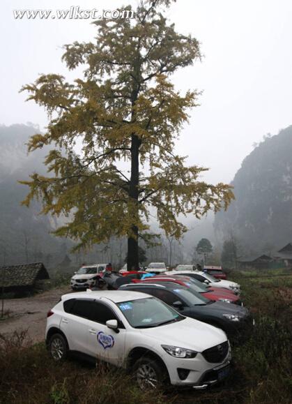 馭馬伙伴行 與愛同行 重走&ldquo;爸爸路&rdquo;武隆溫馨親子之旅獻映