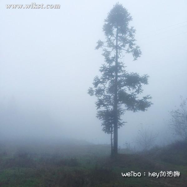 烏木、化石隨地撿，重慶無人峽谷大冒險（完整版）&mdash;&mdash;【女漢紙武隆秘境探險記】第十四節