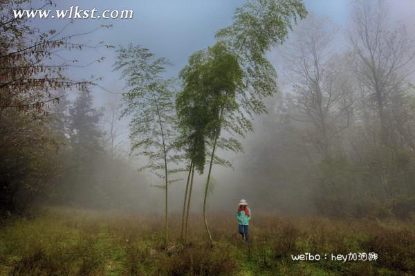 烏木、化石隨地撿，重慶無人峽谷大冒險（完整版）&mdash;&mdash;【女漢紙武隆秘境探險記】第十四節