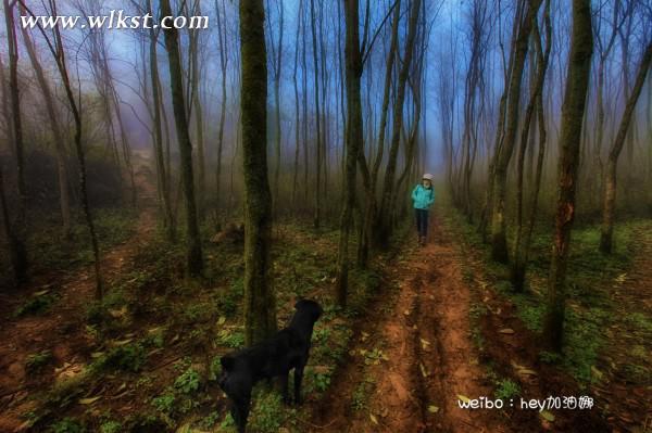 烏木、化石隨地撿，重慶無人峽谷大冒險（完整版）&mdash;&mdash;【女漢紙武隆秘境探險記】第十四節