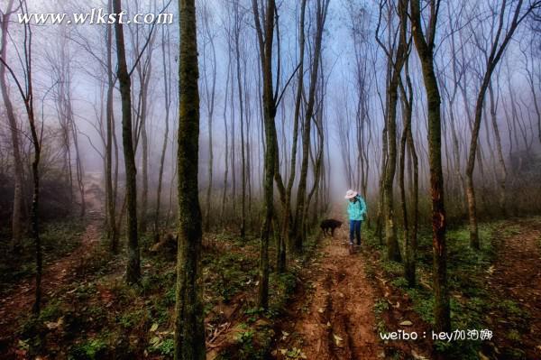烏木、化石隨地撿，重慶無人峽谷大冒險（完整版）&mdash;&mdash;【女漢紙武隆秘境探險記】第十四節
