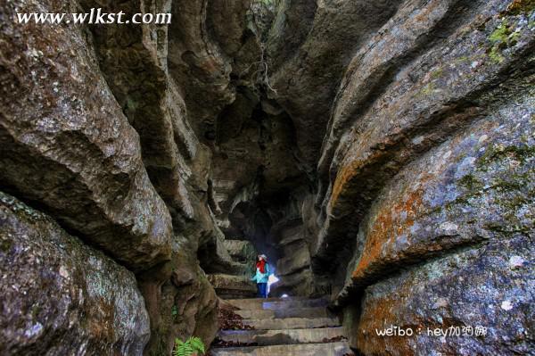 烏木、化石隨地撿，重慶無人峽谷大冒險（完整版）&mdash;&mdash;【女漢紙武隆秘境探險記】第十四節