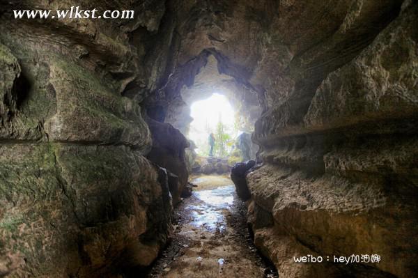 烏木、化石隨地撿，重慶無人峽谷大冒險（完整版）&mdash;&mdash;【女漢紙武隆秘境探險記】第十四節