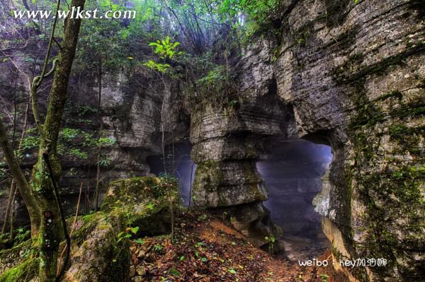 烏木、化石隨地撿，重慶無人峽谷大冒險（完整版）&mdash;&mdash;【女漢紙武隆秘境探險記】第十四節