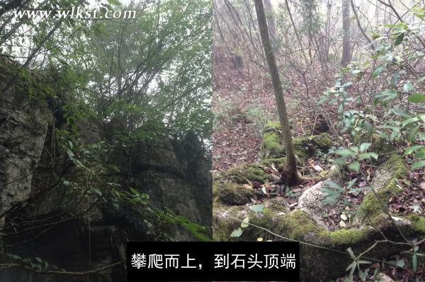 烏木、化石隨地撿，重慶無人峽谷大冒險（完整版）&mdash;&mdash;【女漢紙武隆秘境探險記】第十四節