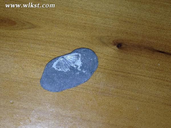 烏木、化石隨地撿，重慶無人峽谷大冒險（完整版）&mdash;&mdash;【女漢紙武隆秘境探險記】第十四節