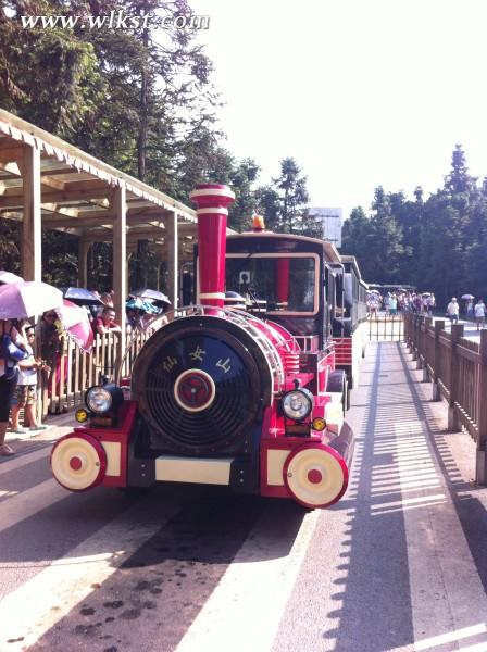 仙女山的小火車，有了它麻麻再也不用擔(dān)心走路走到腿軟了