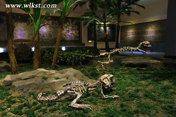 仙女山冰雪一日游僅98元，另外還送90元門票！