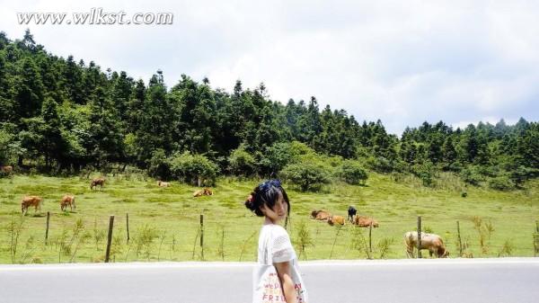 重慶武隆仙女山-結婚三周年