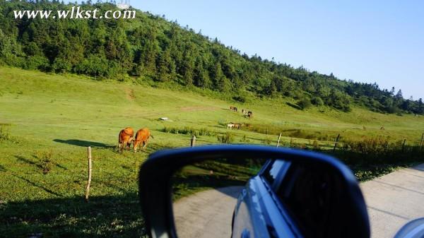 重慶武隆仙女山-結婚三周年