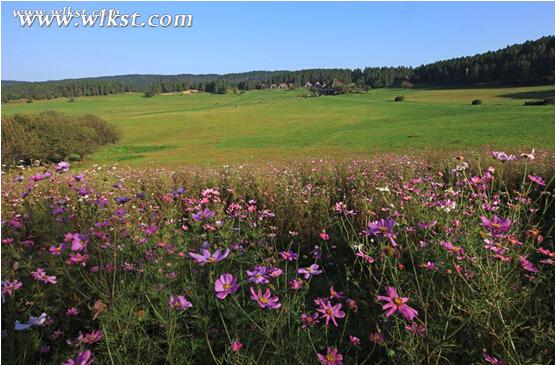 穹頂之下仍有凈土 3月游武隆景區立省270元