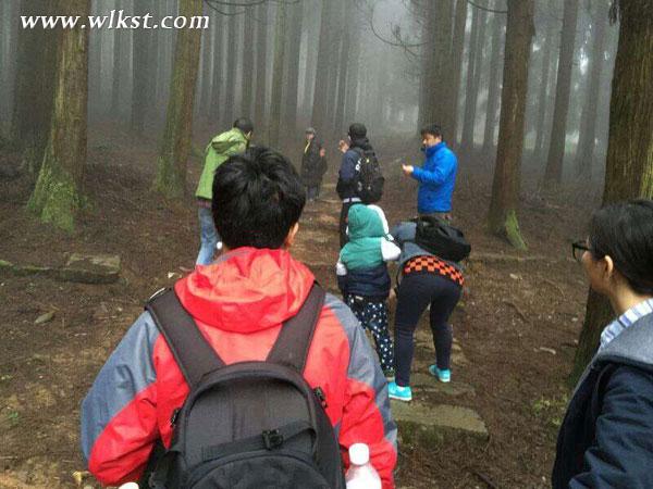 金鷹卡通衛視《童趣大調查》深入武隆 探尋黑葉猴蹤跡