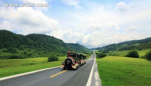 &ldquo;3.21國(guó)際森林日&rdquo;仙女山景區(qū)21、22日免費(fèi)開放