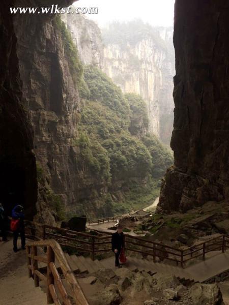 在青山綠水間,自由的呼吸——武隆逍遙游