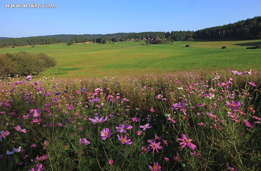 2015年3月21日、22日重慶哪些景點(diǎn)免門票？