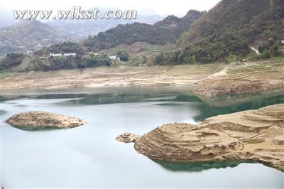 圖為&ldquo;烏龜追鯉魚&rdquo;奇觀。