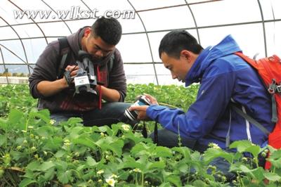 10余市級主流媒體聚焦武隆縣生態觀光農業