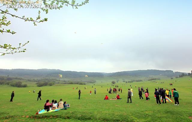 往年仙女山國際風箏放飛季現場