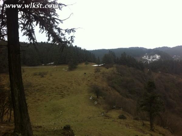 你好，2015。&mdash;&mdash;仙女山草原外圍&ldquo;迷路一日游&rdquo;