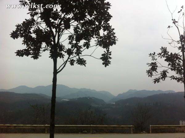 你好，2015。&mdash;&mdash;仙女山草原外圍&ldquo;迷路一日游&rdquo;