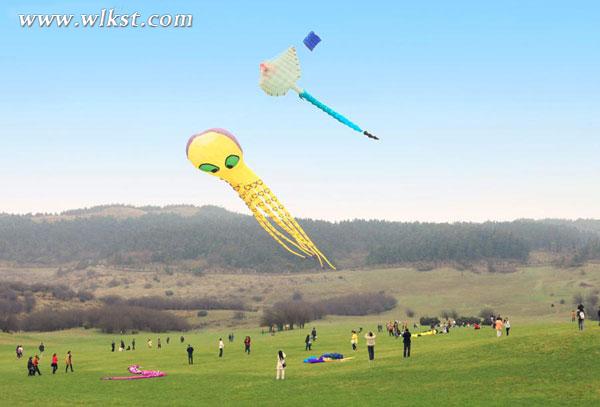 四月踏青出游最浪漫！掃武隆景區(qū)微信免費游仙女山