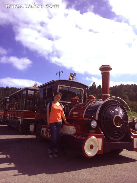 如果我是向日葵-你們就是我的陽光(重慶武隆)