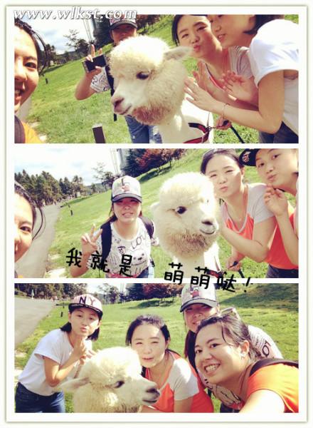 如果我是向日葵-你們就是我的陽光(重慶武隆)